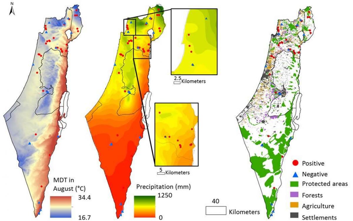 mapa de israel climático